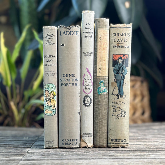 Shabby Gray Vintage Children's Book Bundle for Shelf Styling - Pretty Old Books