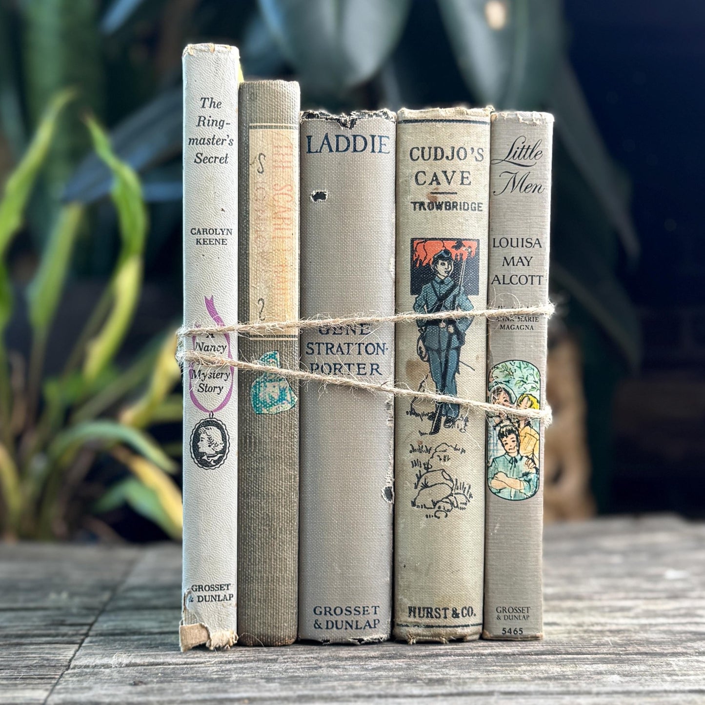 Shabby Gray Vintage Children's Book Bundle for Shelf Styling - Pretty Old Books