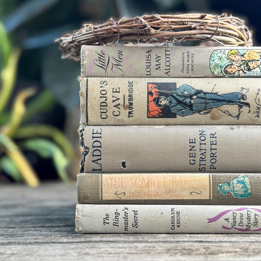 Shabby Gray Vintage Children's Book Bundle for Shelf Styling - Pretty Old Books