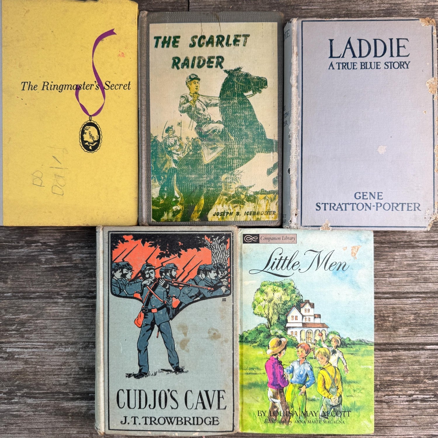 Shabby Gray Vintage Children's Book Bundle for Shelf Styling - Pretty Old Books