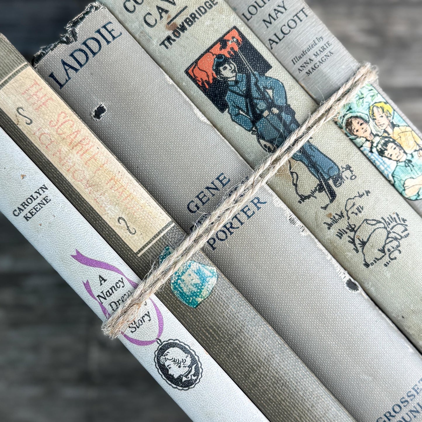 Shabby Gray Vintage Children's Book Bundle for Shelf Styling - Pretty Old Books