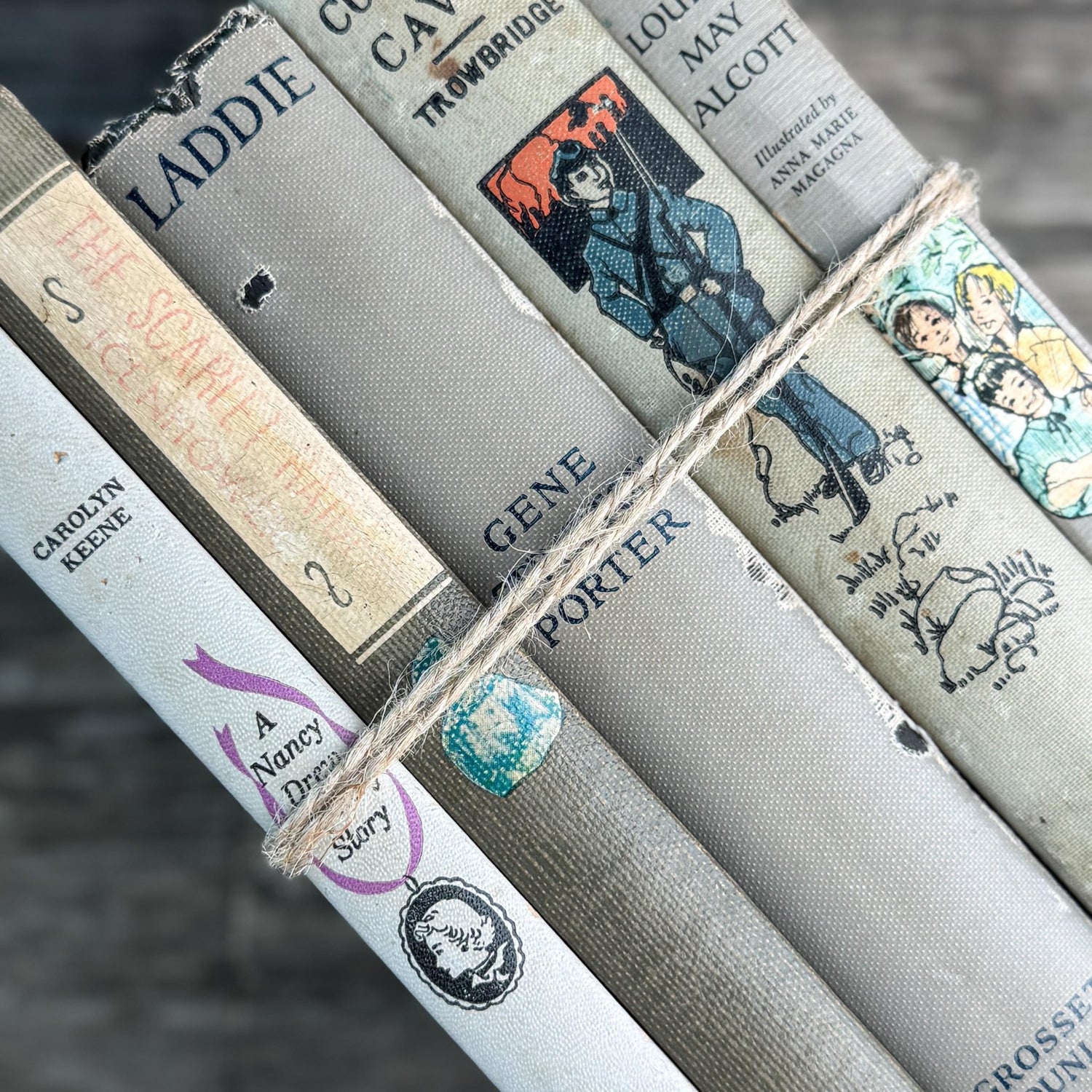 Shabby Gray Vintage Children's Book Bundle for Shelf Styling - Pretty Old Books
