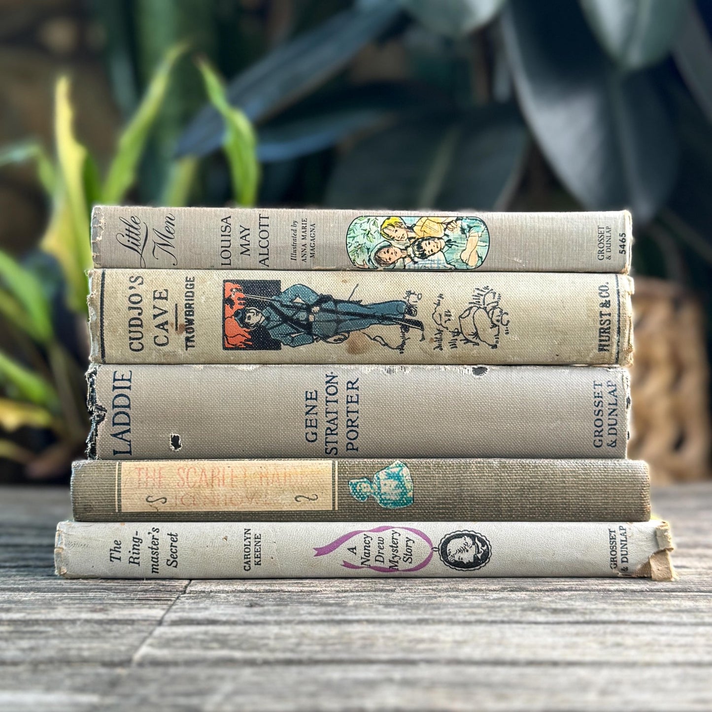 Shabby Gray Vintage Children's Book Bundle for Shelf Styling - Pretty Old Books
