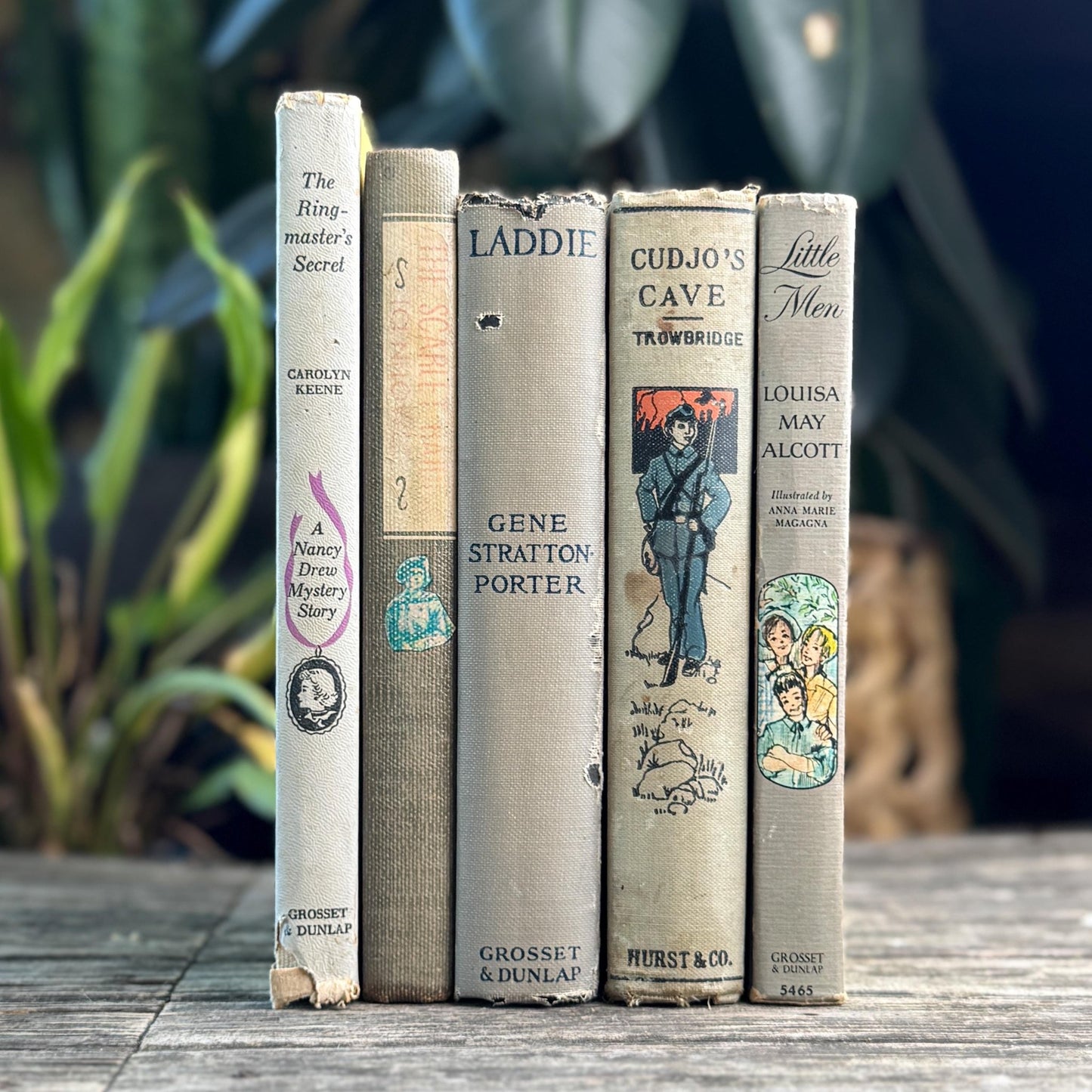 Shabby Gray Vintage Children's Book Bundle for Shelf Styling - Pretty Old Books