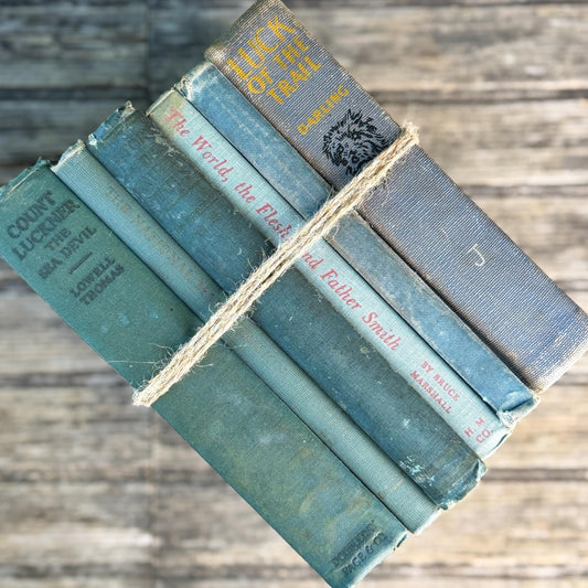 Shabby Old Blue Books for Cozy Shelf Styling - Pretty Old Books