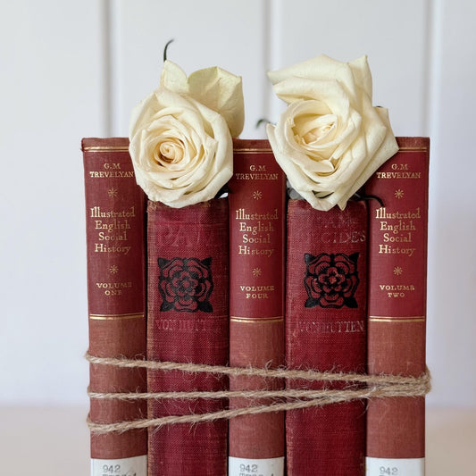Shabby Red Antique Distressed Cozy Book Bundle - Pretty Old Books