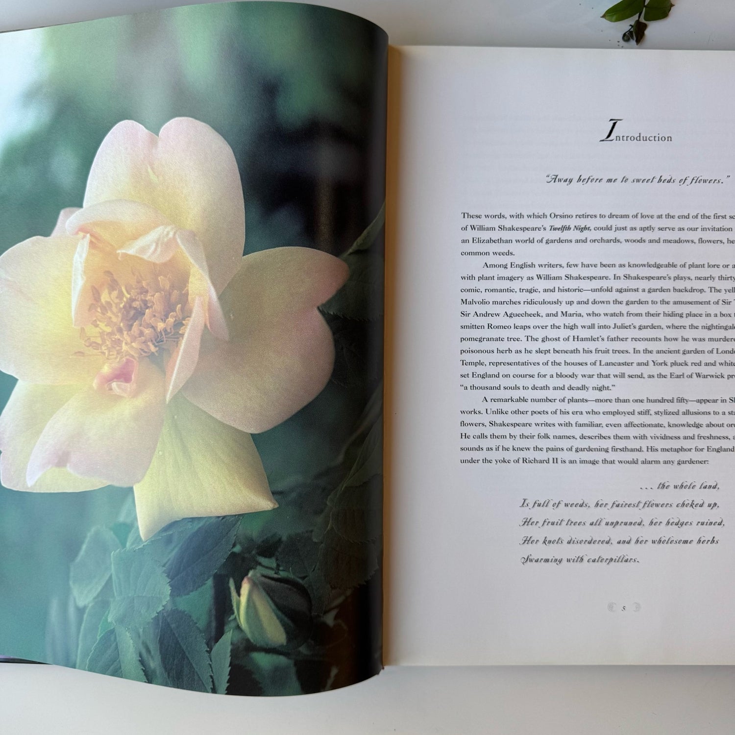 Shakespeare's Flowers, 2001 Oversized Coffee Table Botanical Book - Pretty Old Books