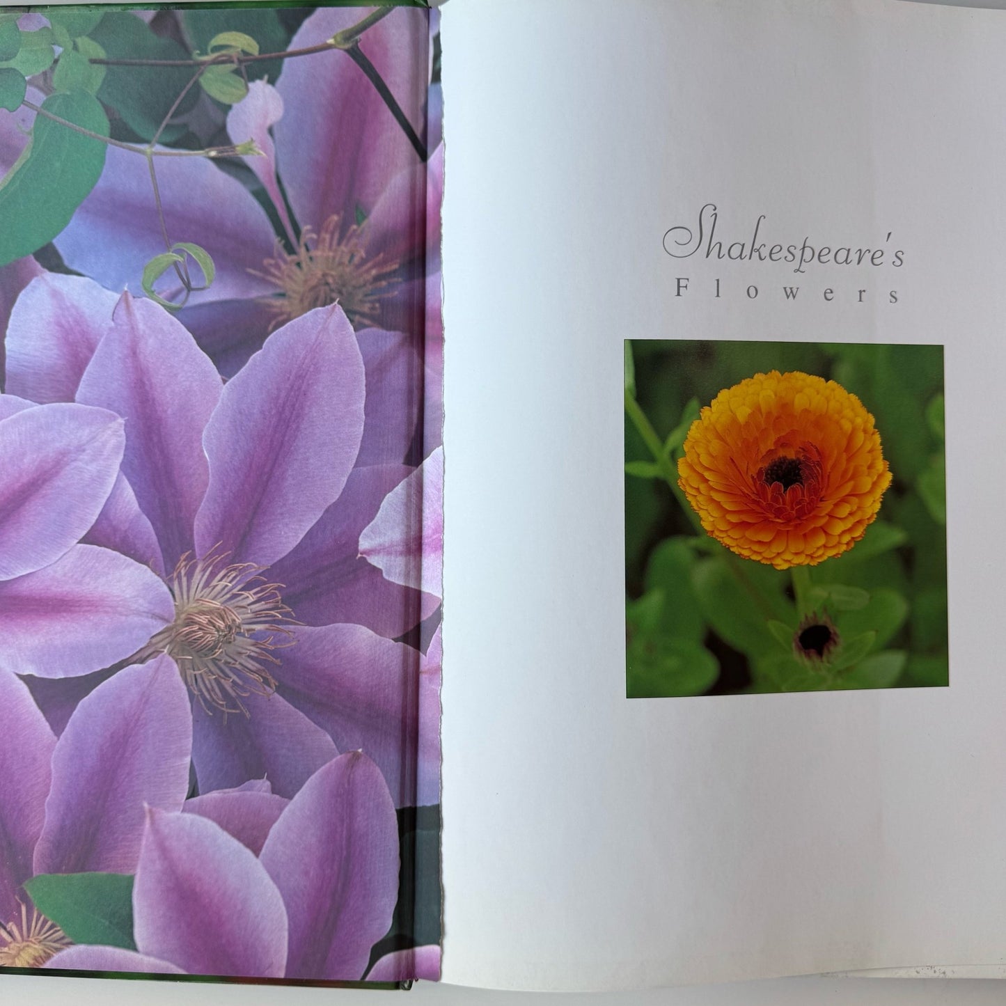 Shakespeare's Flowers, 2001 Oversized Coffee Table Botanical Book - Pretty Old Books