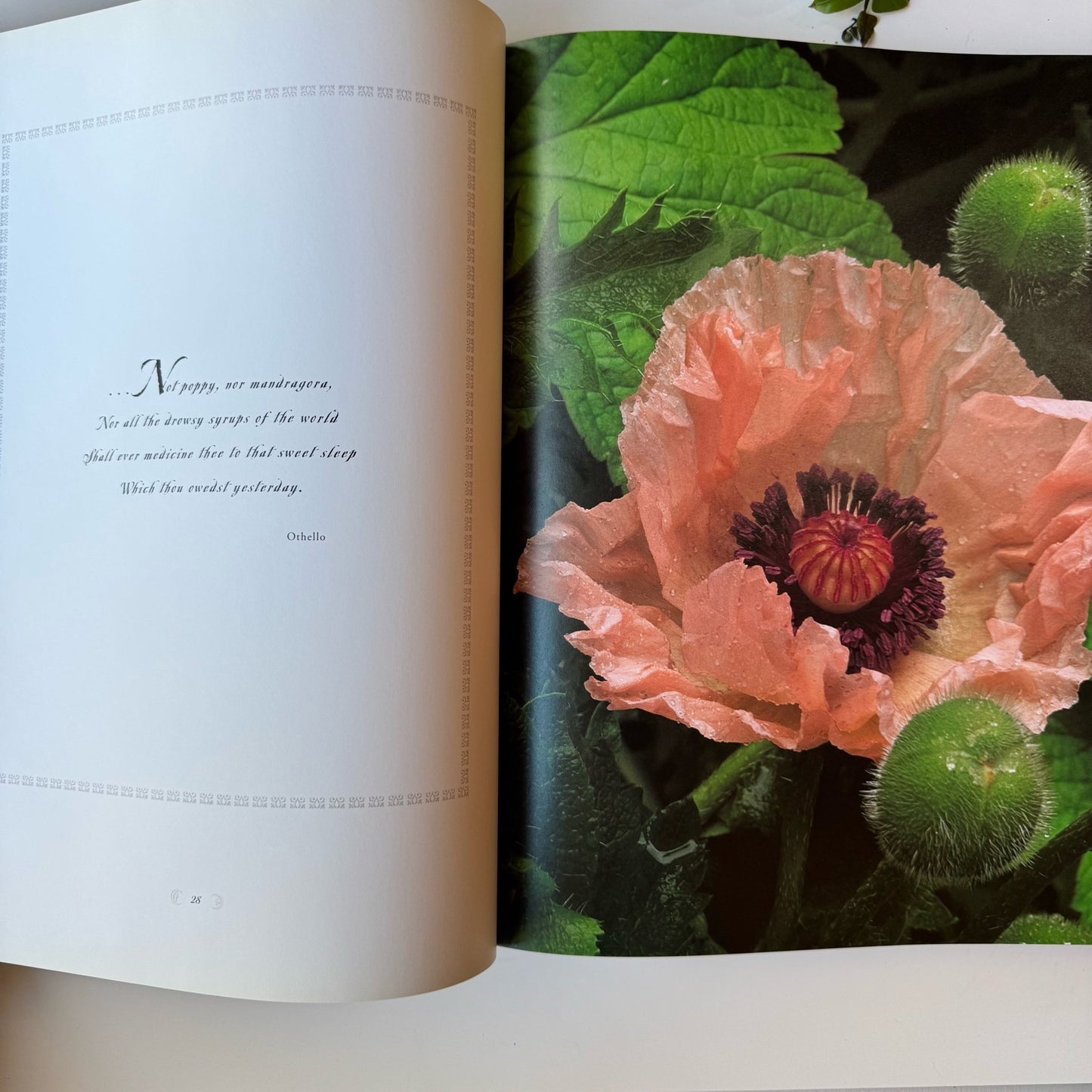 Shakespeare's Flowers, 2001 Oversized Coffee Table Botanical Book - Pretty Old Books