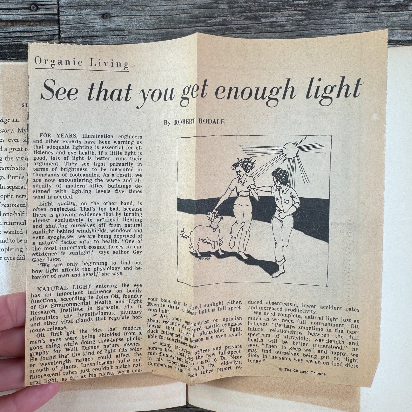 Sight Without Glasses, 1940 Vision Improvement Book - Pretty Old Books