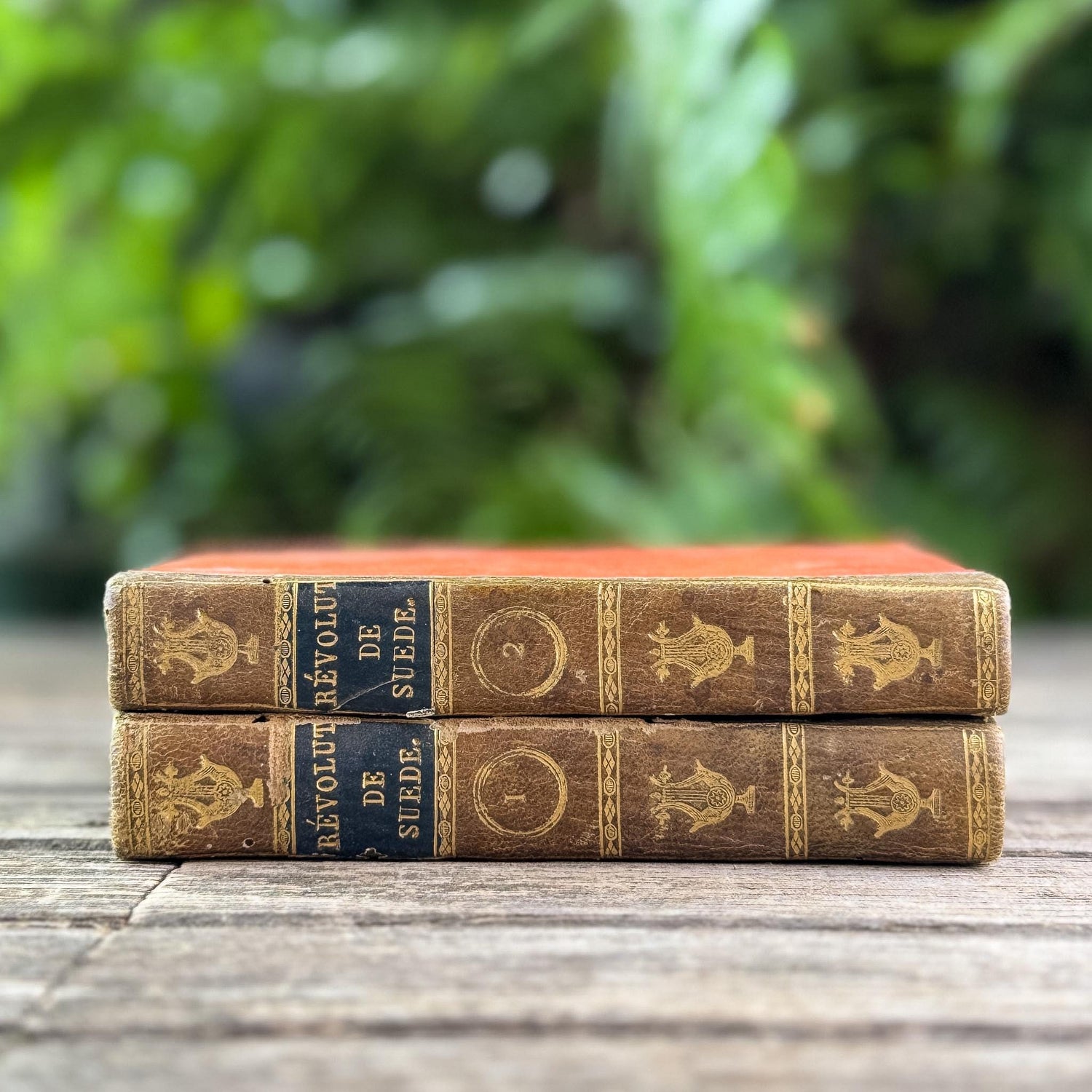 Small Antique French Book Set of Histoire des Révolutions de Suède, 1806, 2 Volumes - Pretty Old Books