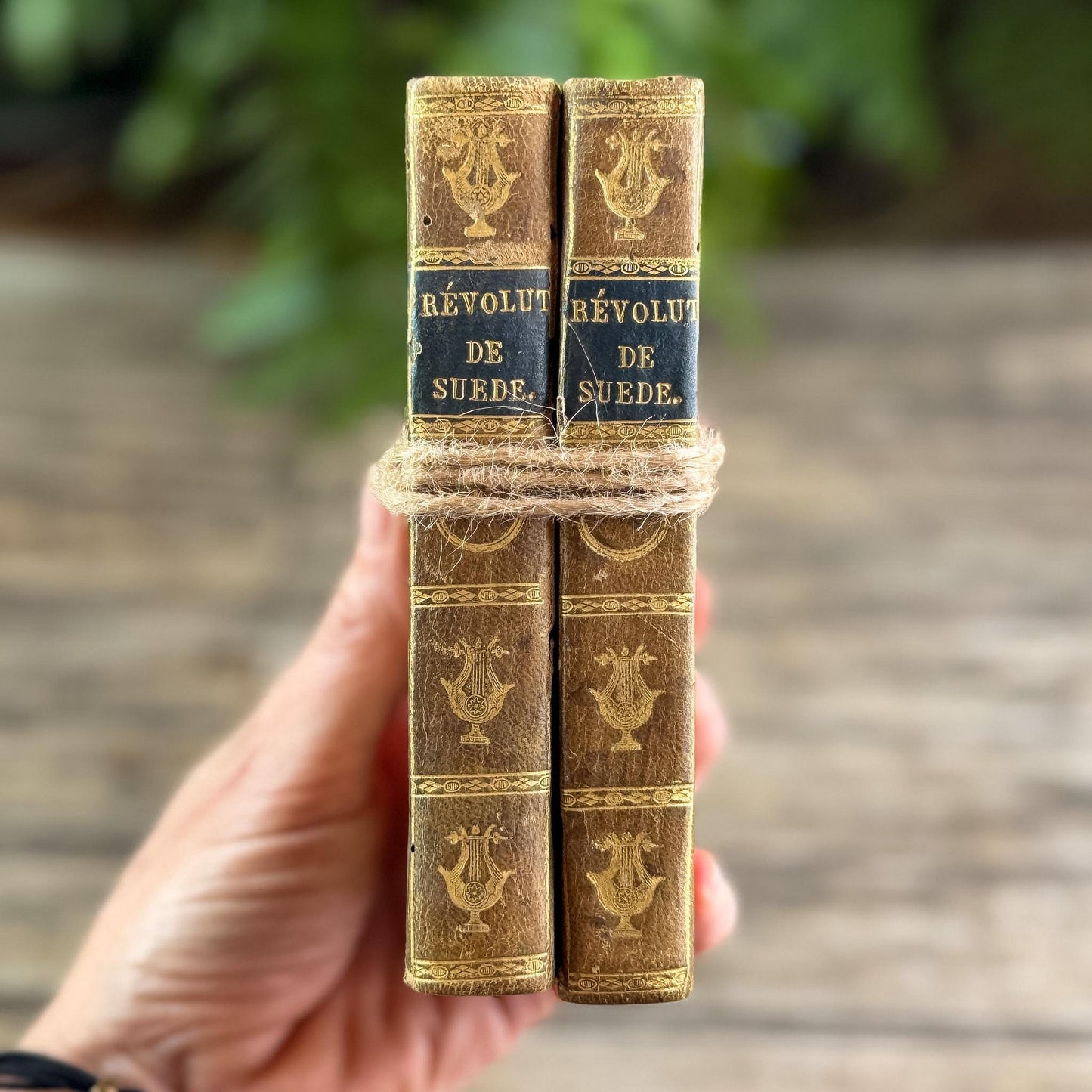 Small Antique French Book Set of Histoire des Révolutions de Suède, 1806, 2 Volumes - Pretty Old Books