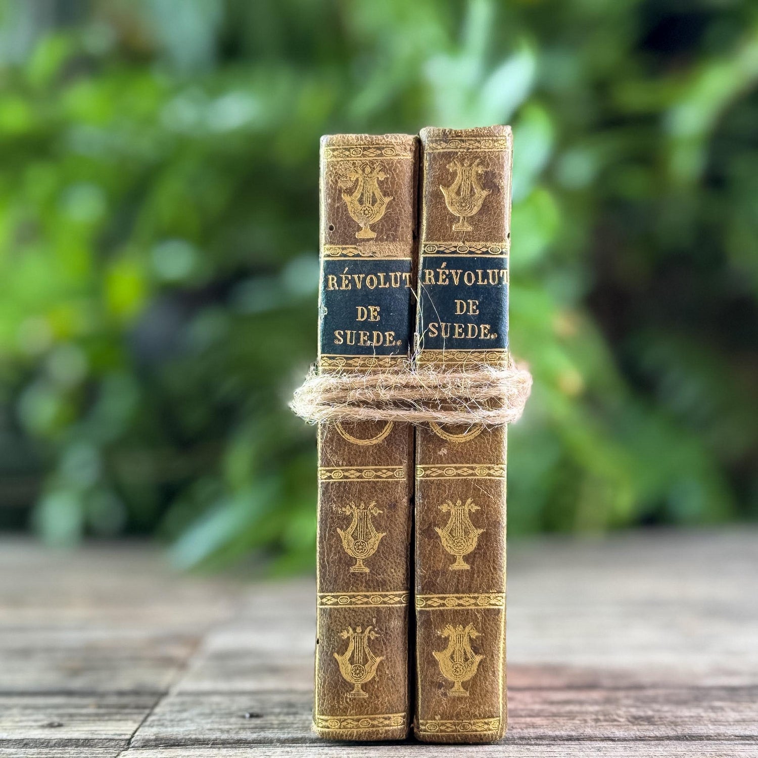 Small Antique French Book Set of Histoire des Révolutions de Suède, 1806, 2 Volumes - Pretty Old Books