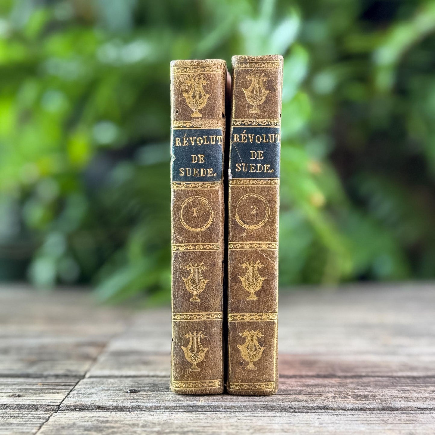 Small Antique French Book Set of Histoire des Révolutions de Suède, 1806, 2 Volumes - Pretty Old Books