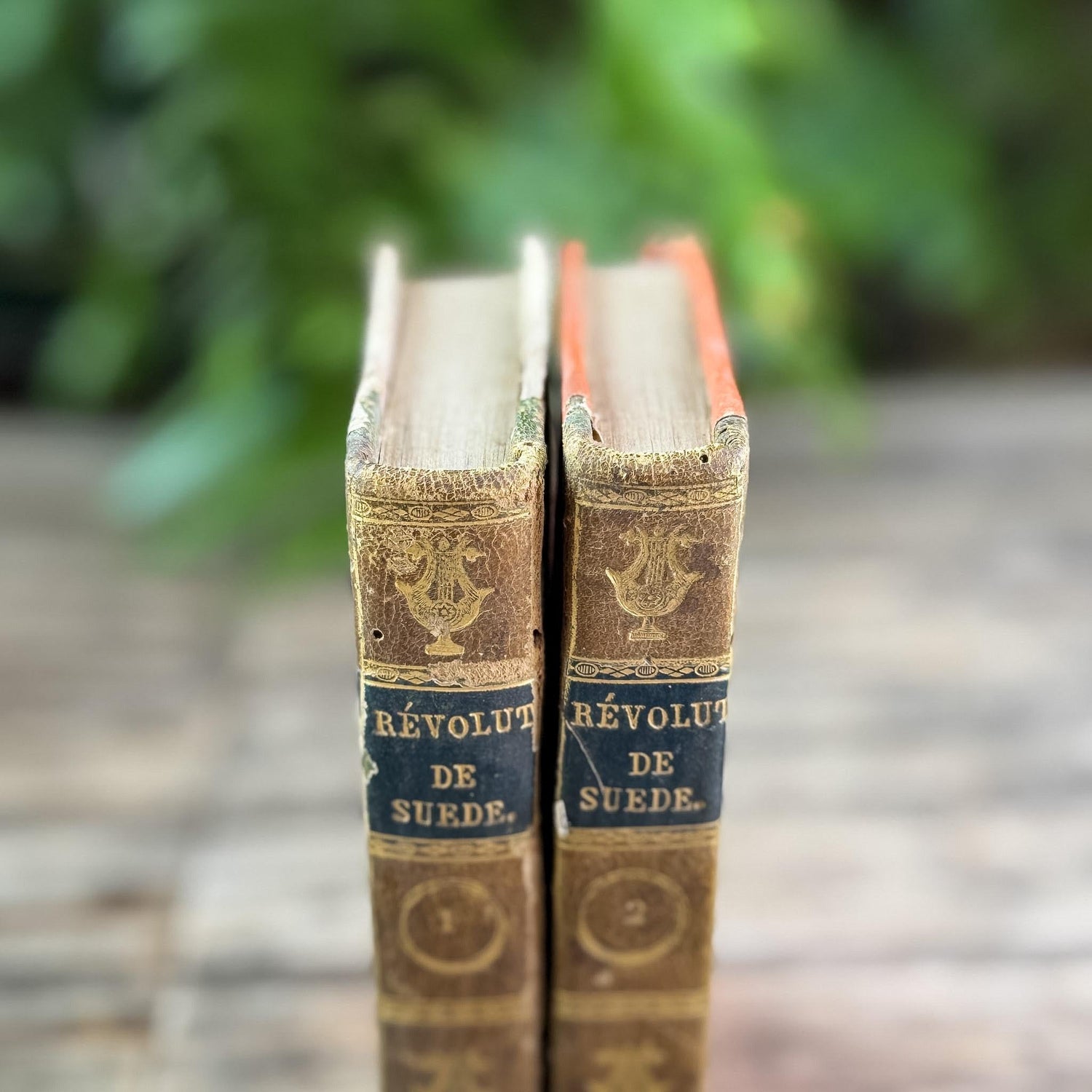 Small Antique French Book Set of Histoire des Révolutions de Suède, 1806, 2 Volumes - Pretty Old Books