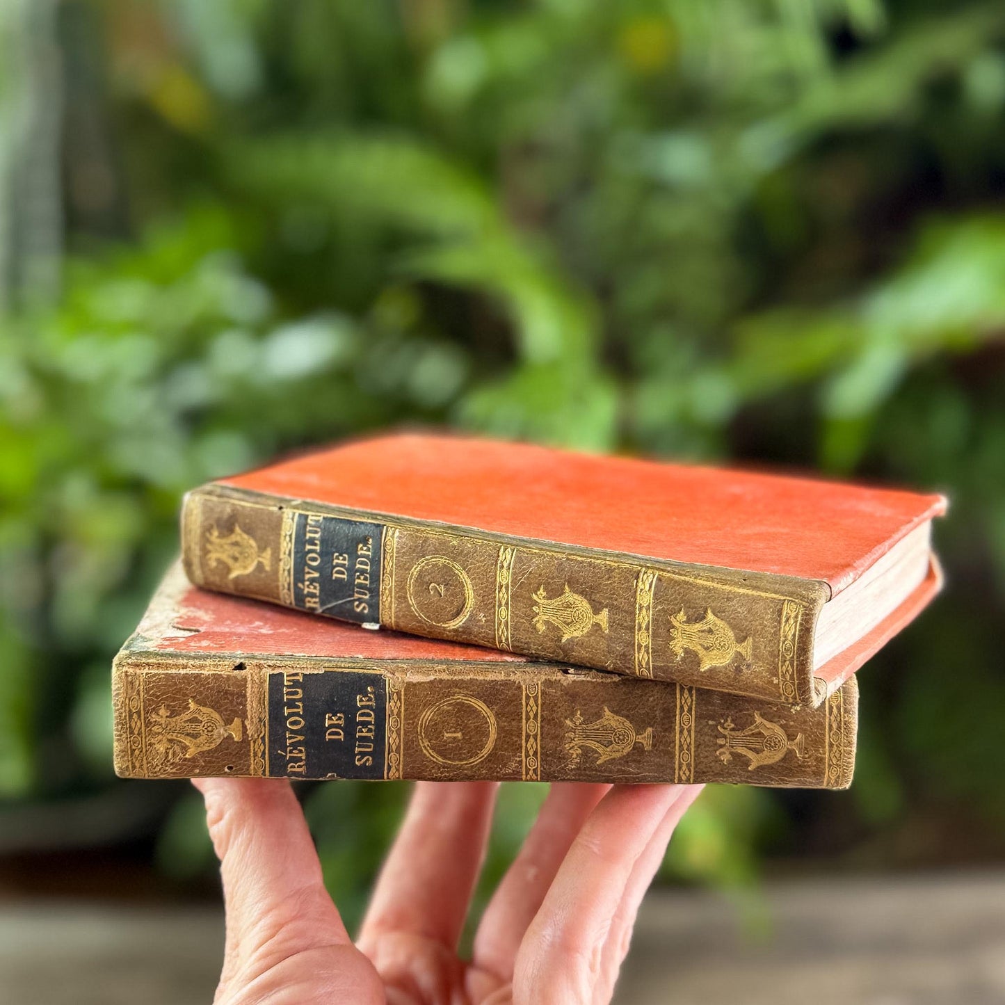 Small Antique French Book Set of Histoire des Révolutions de Suède, 1806, 2 Volumes - Pretty Old Books