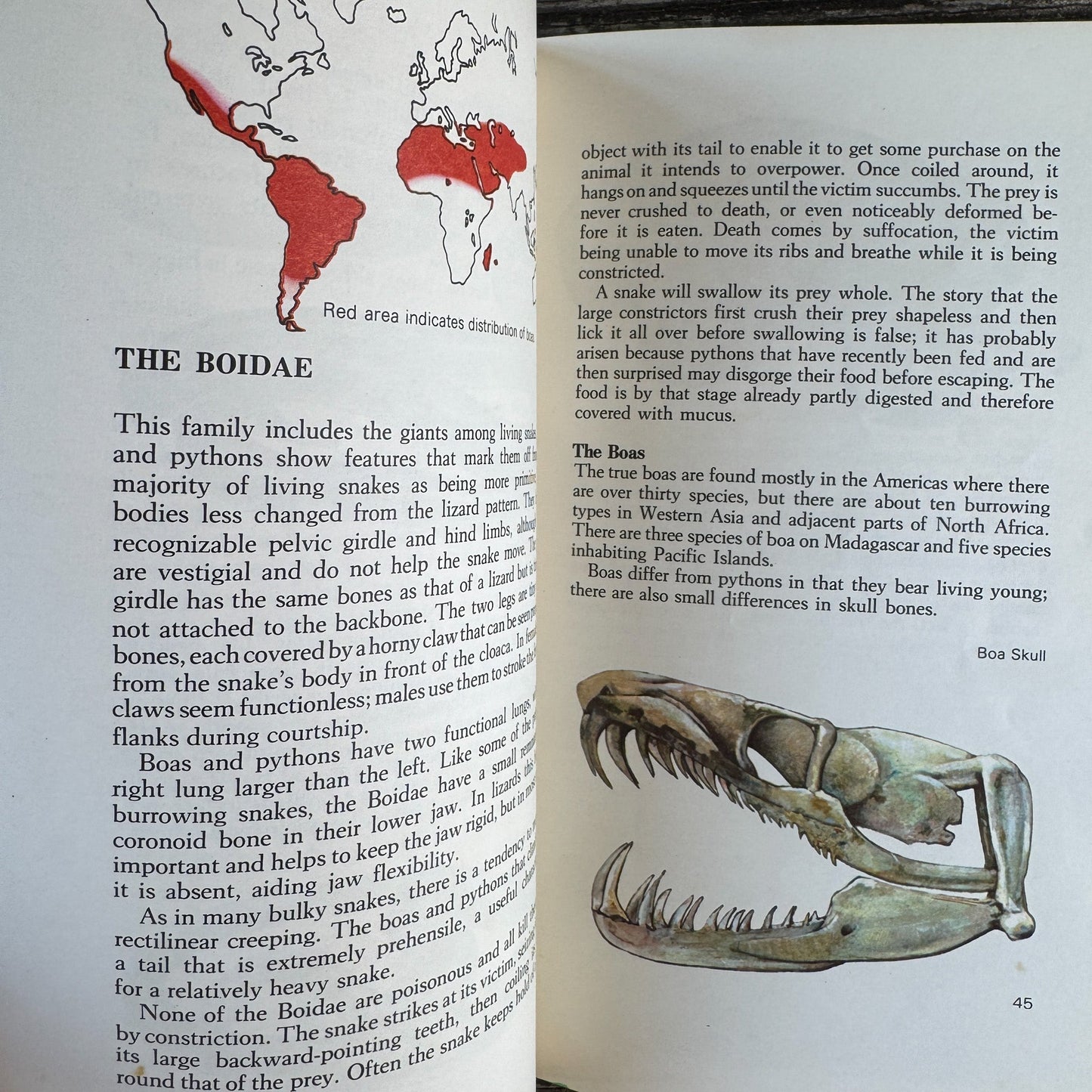 Snakes of the World, John Stidworthy, 1978 Hardcover - Pretty Old Books