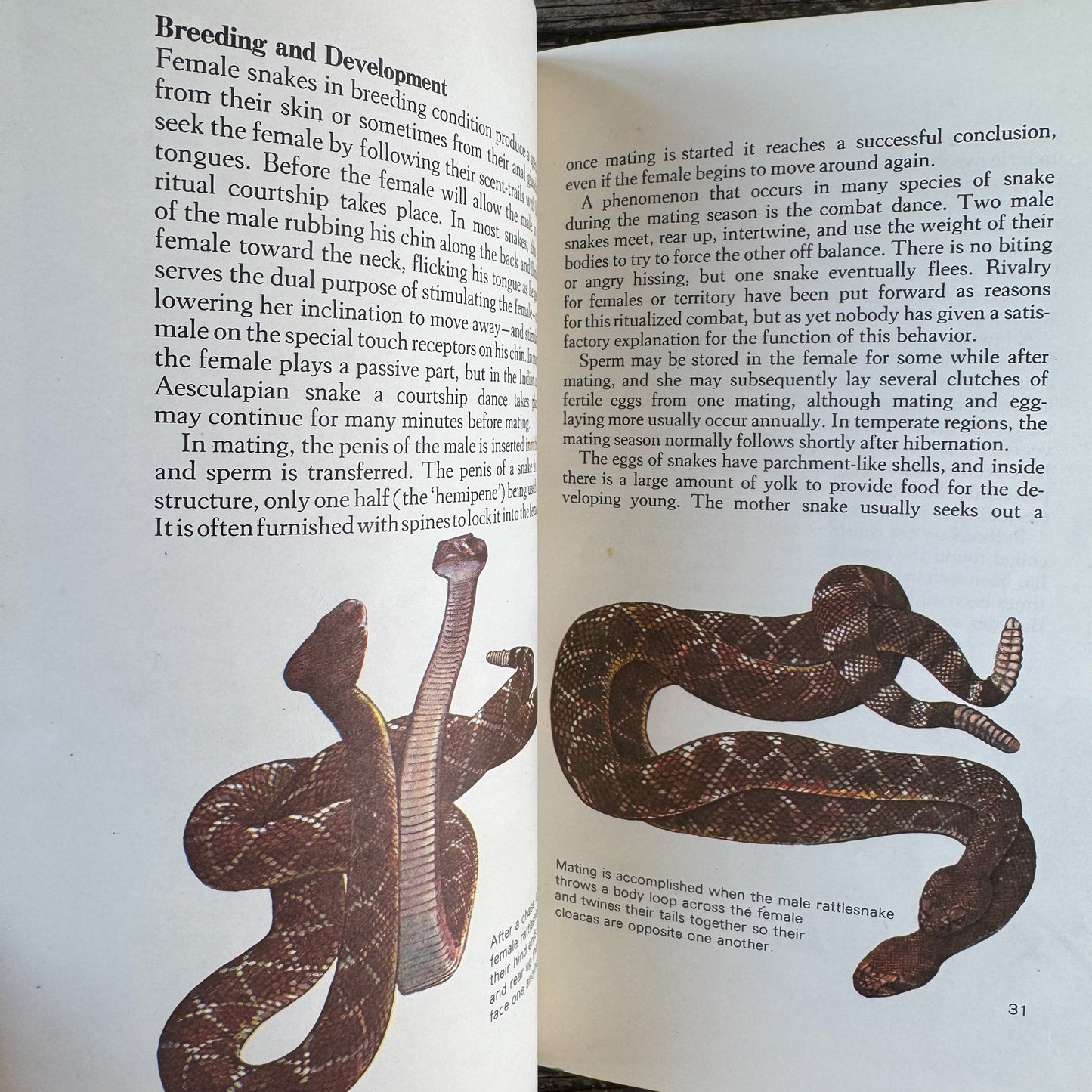 Snakes of the World, John Stidworthy, 1978 Hardcover - Pretty Old Books