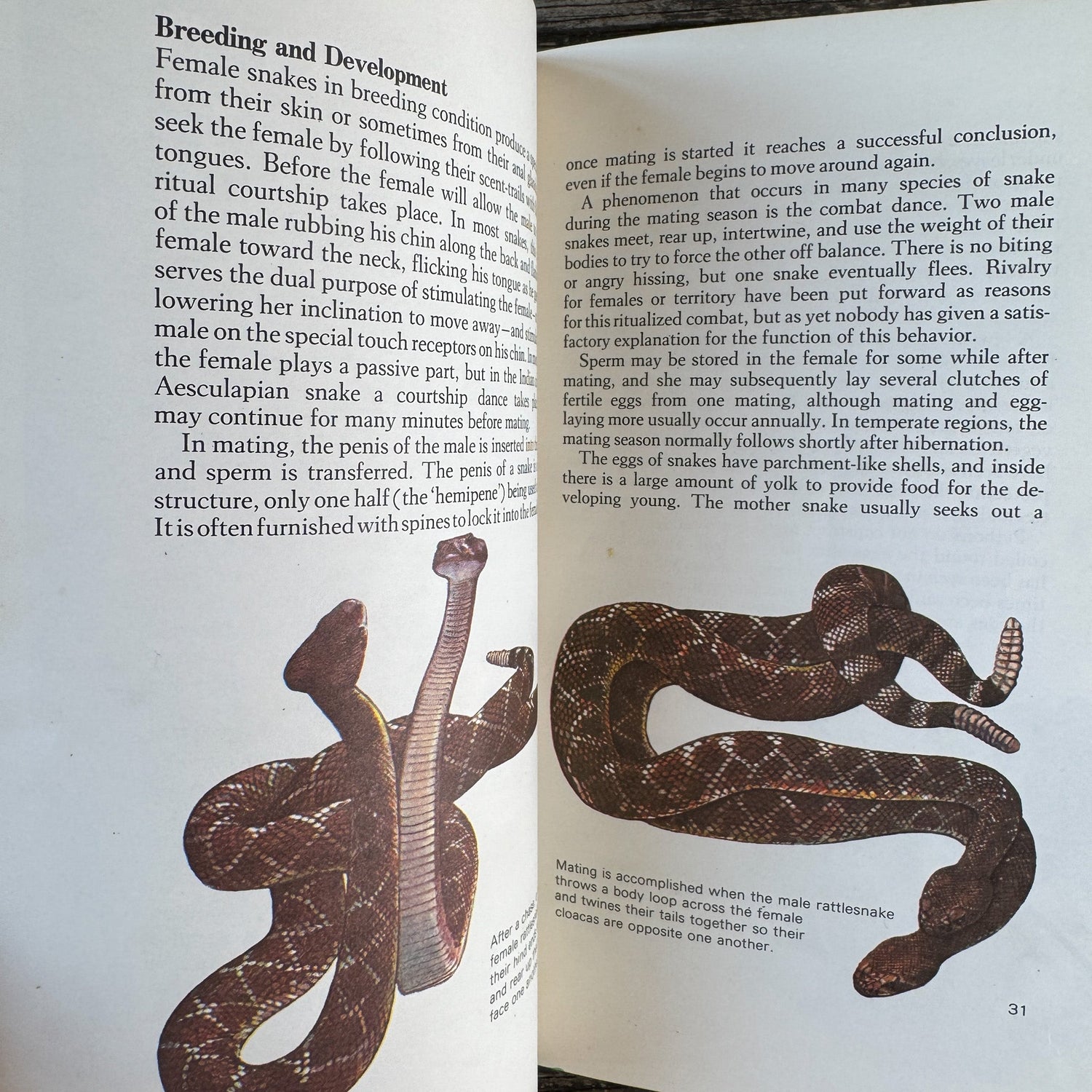 Snakes of the World, John Stidworthy, 1978 Hardcover - Pretty Old Books