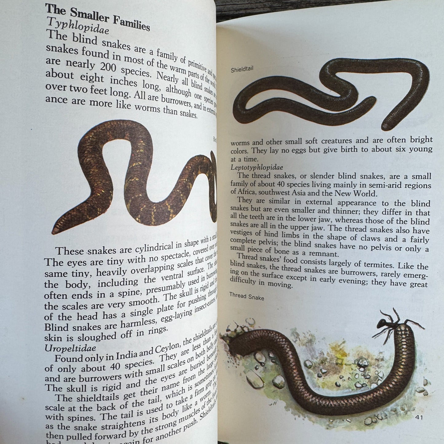 Snakes of the World, John Stidworthy, 1978 Hardcover - Pretty Old Books