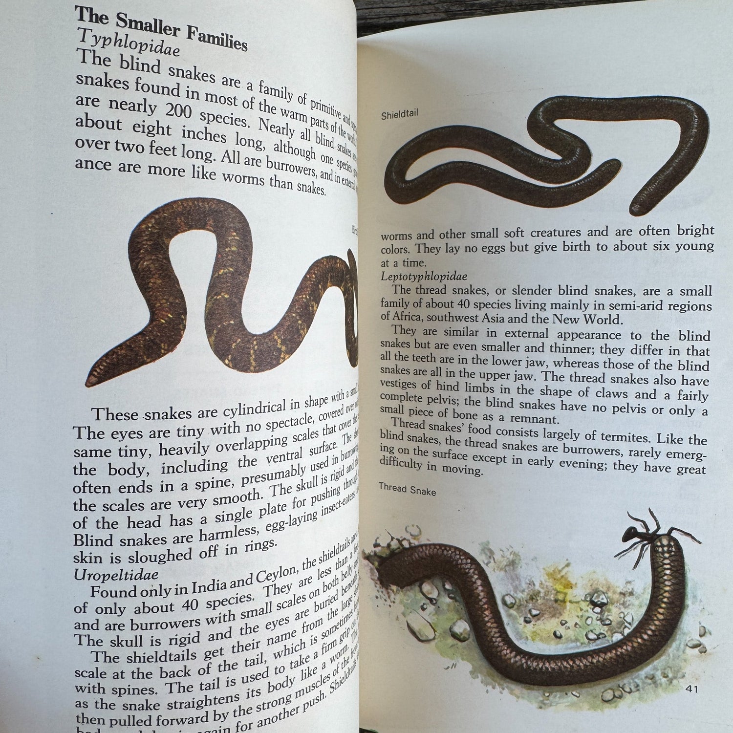 Snakes of the World, John Stidworthy, 1978 Hardcover - Pretty Old Books