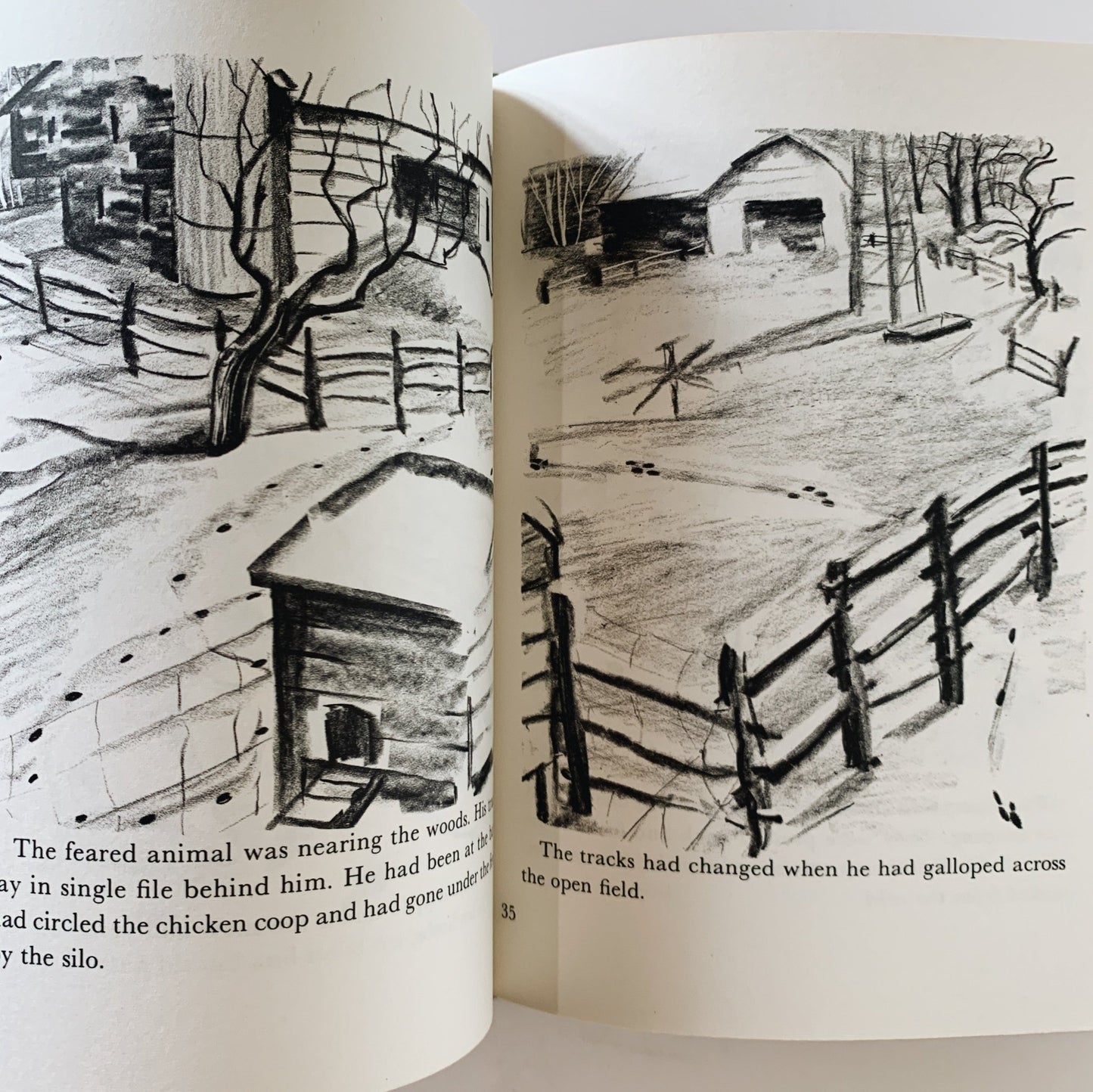 Snow Tracks, Jean George, Children's Nature Study Hardcover Book, 1970 - Pretty Old Books