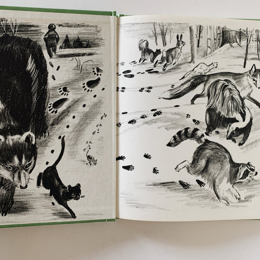 Snow Tracks, Jean George, Children's Nature Study Hardcover Book, 1970 - Pretty Old Books