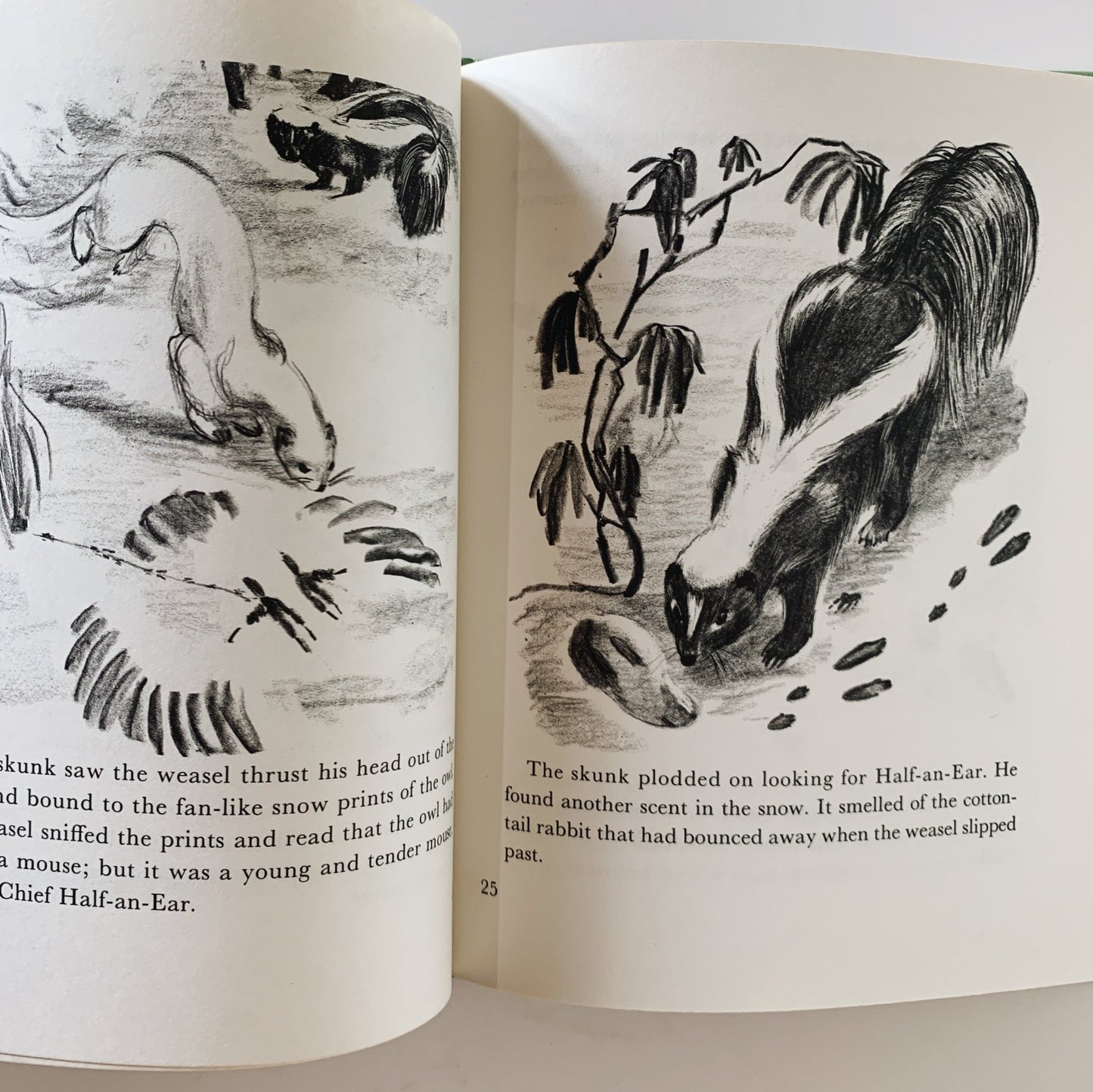 Snow Tracks, Jean George, Children's Nature Study Hardcover Book, 1970 - Pretty Old Books
