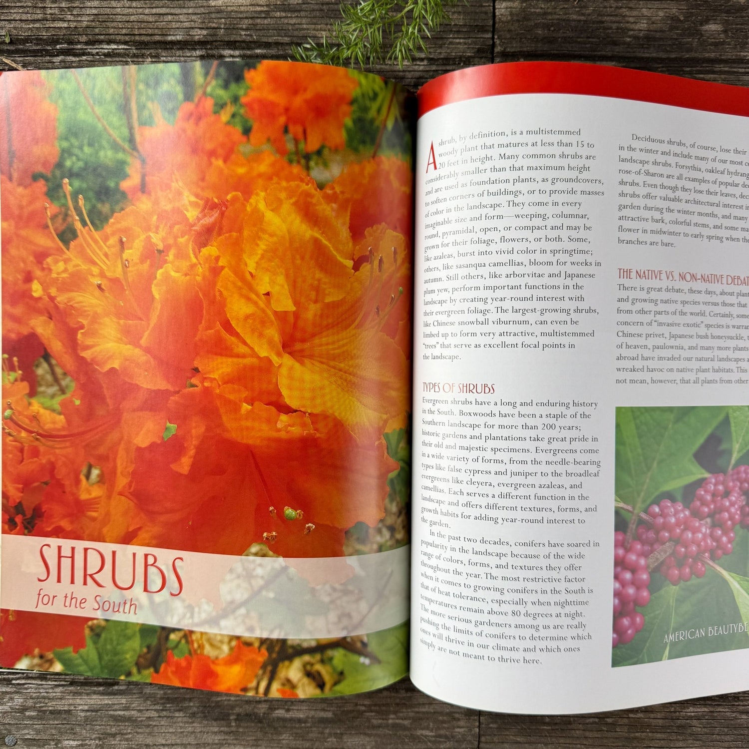 Southern Gardener's Handbook, 2014 Softcover - Pretty Old Books