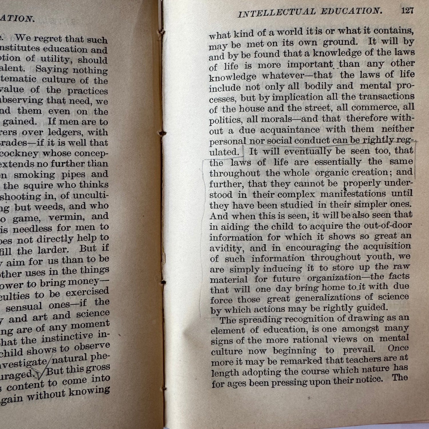 Spencer on Education, 1885 Ornate Hardcover - Pretty Old Books