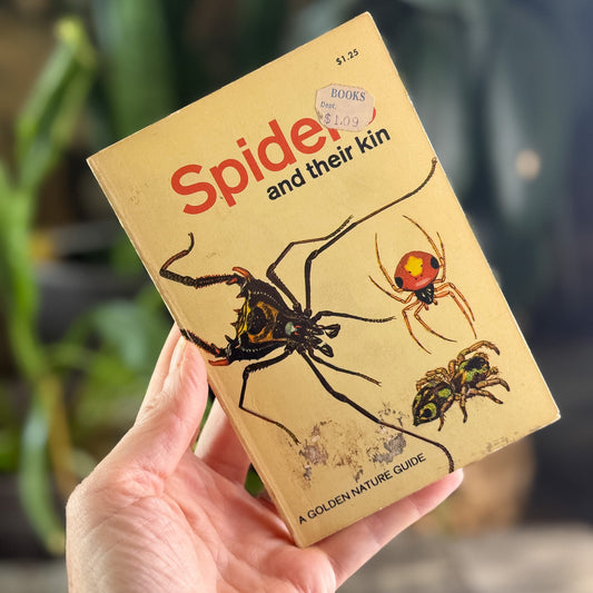 Spiders and Their Kin, A Golden Guide, 1968 - Pretty Old Books