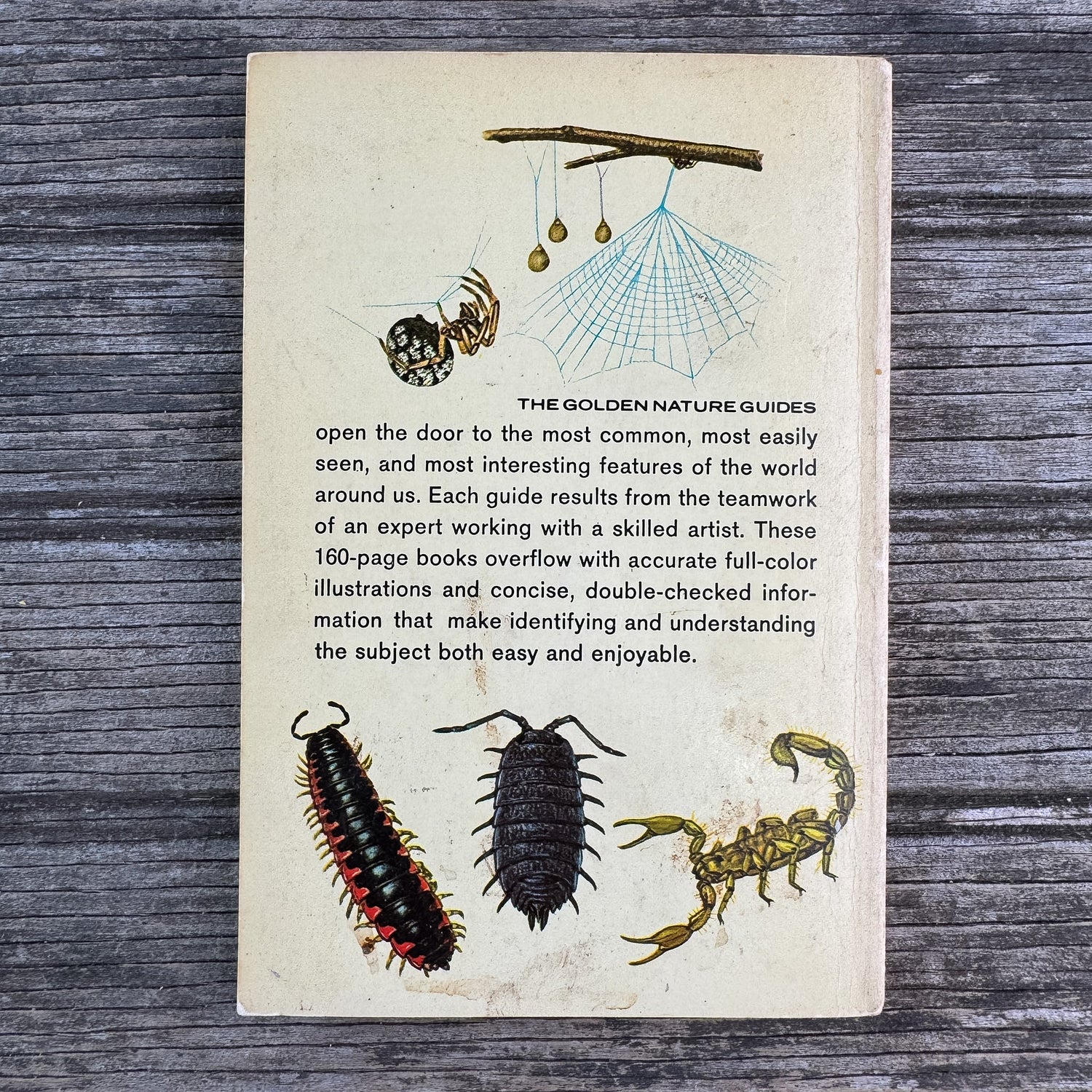 Spiders and Their Kin, A Golden Guide, 1968 - Pretty Old Books
