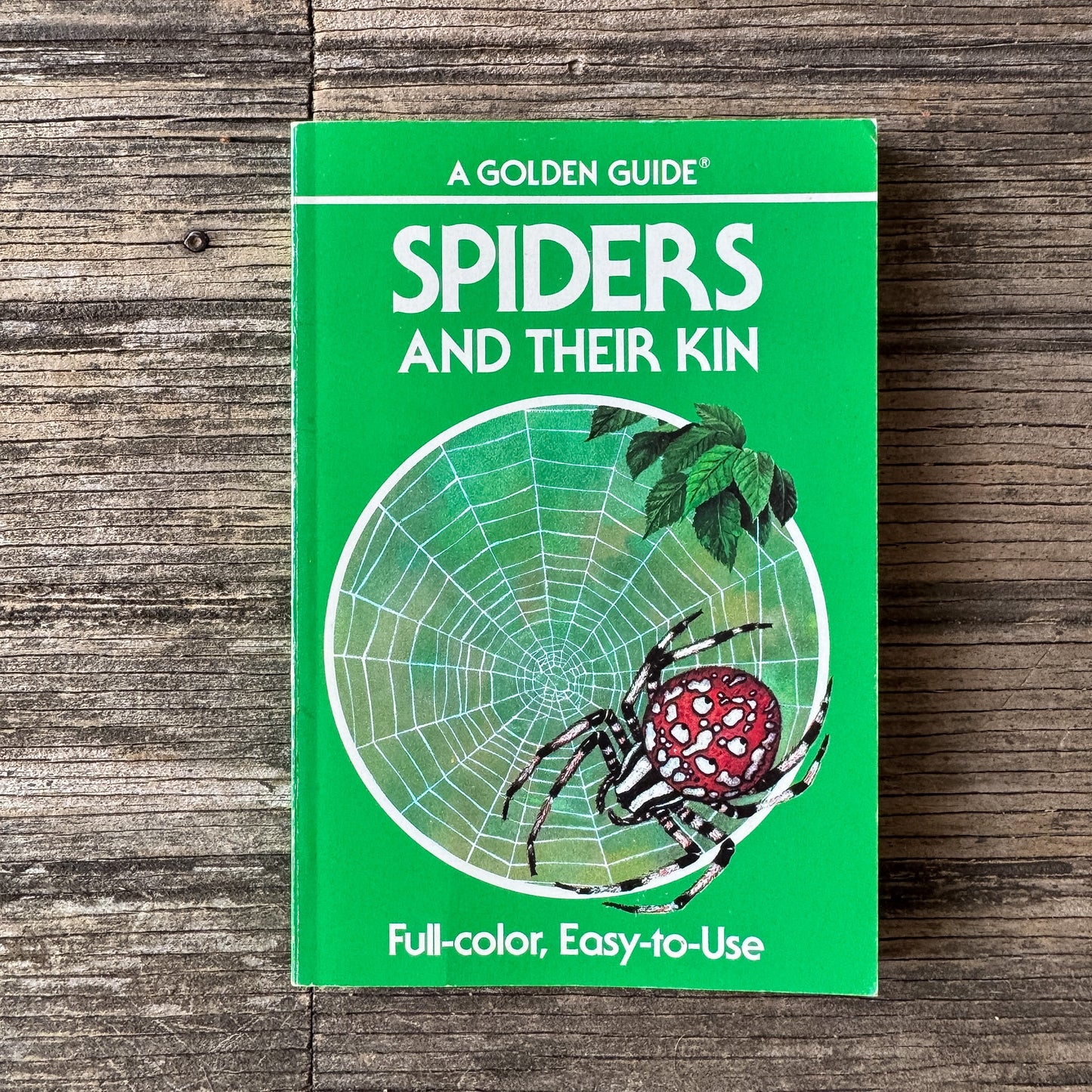 Spiders and Their Kin, Golden Field Guide - Pretty Old Books