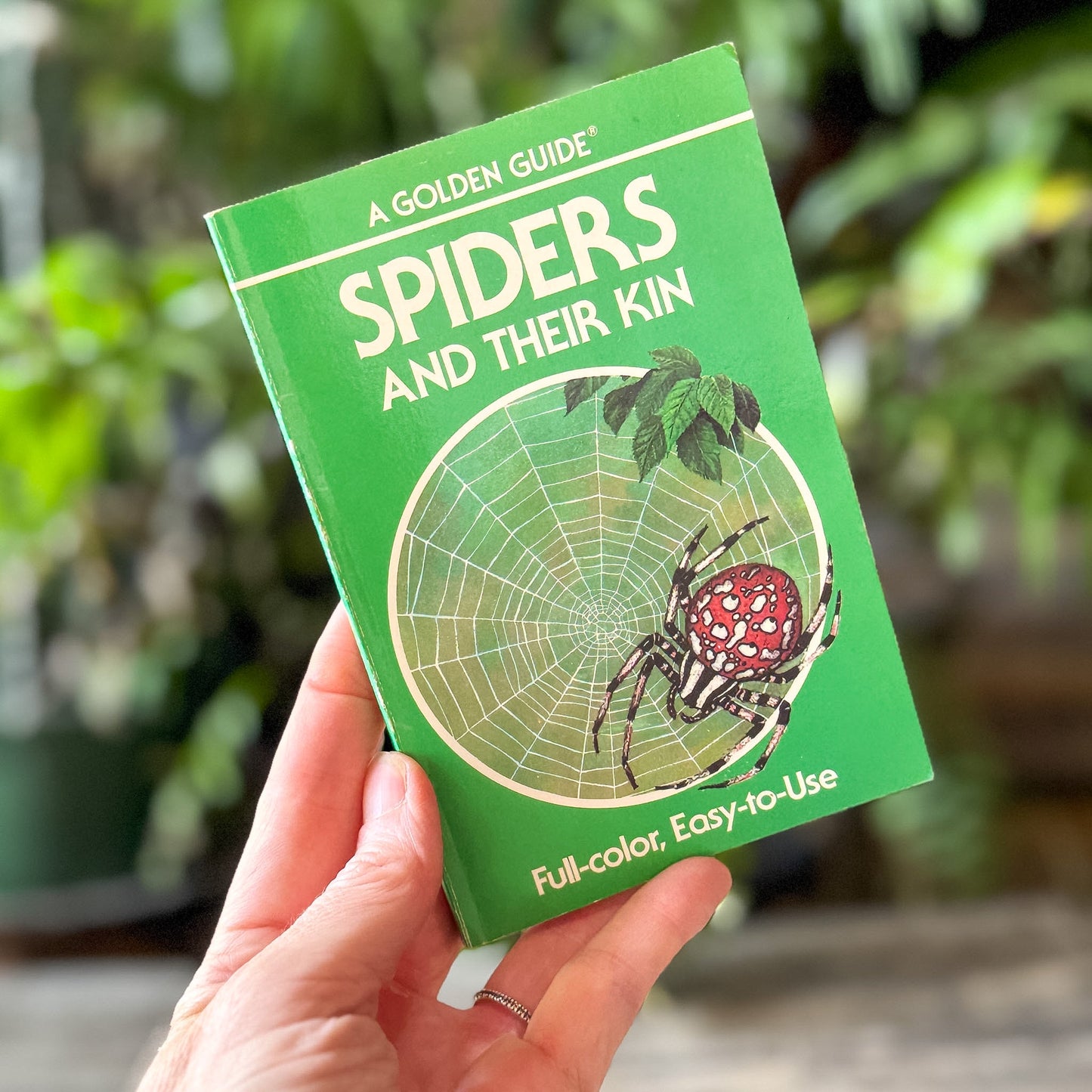 Spiders and Their Kin, Golden Field Guide - Pretty Old Books