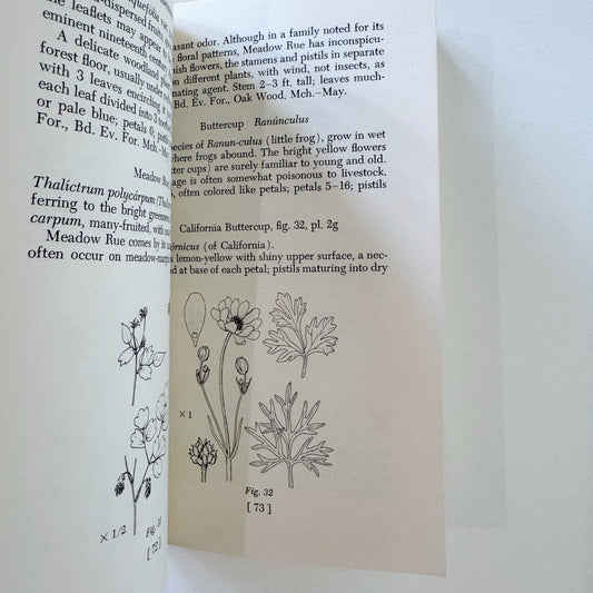 Spring Wildflowers of the San Francisco Bay Region, 1970 Vintage Field Guide - Pretty Old Books