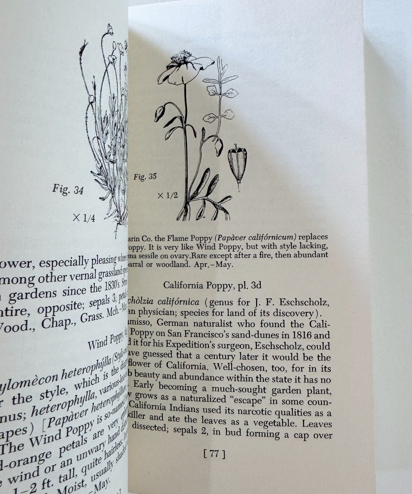 Spring Wildflowers of the San Francisco Bay Region, 1970 Vintage Field Guide - Pretty Old Books