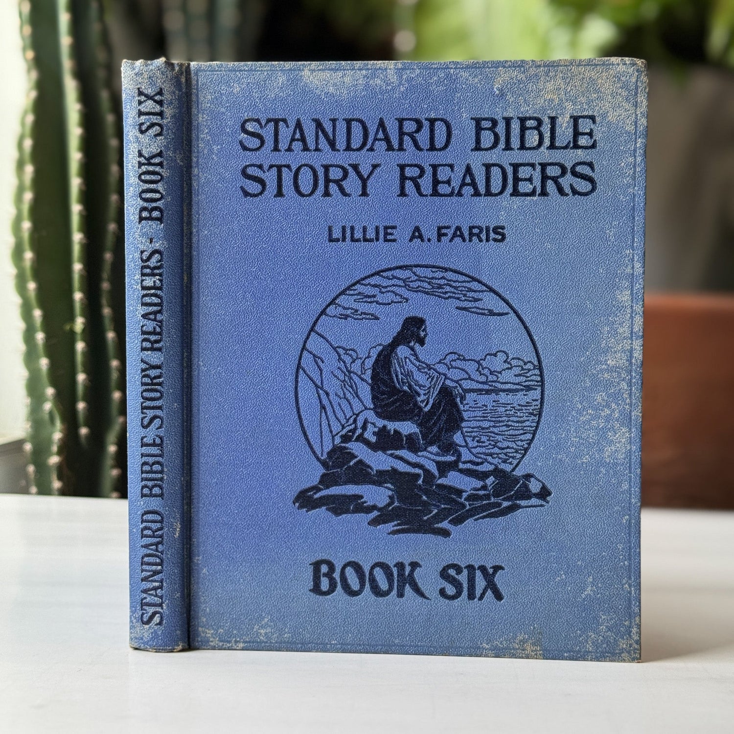 Standard Bible Story Readers, Book Six, 1929 School Book - Pretty Old Books