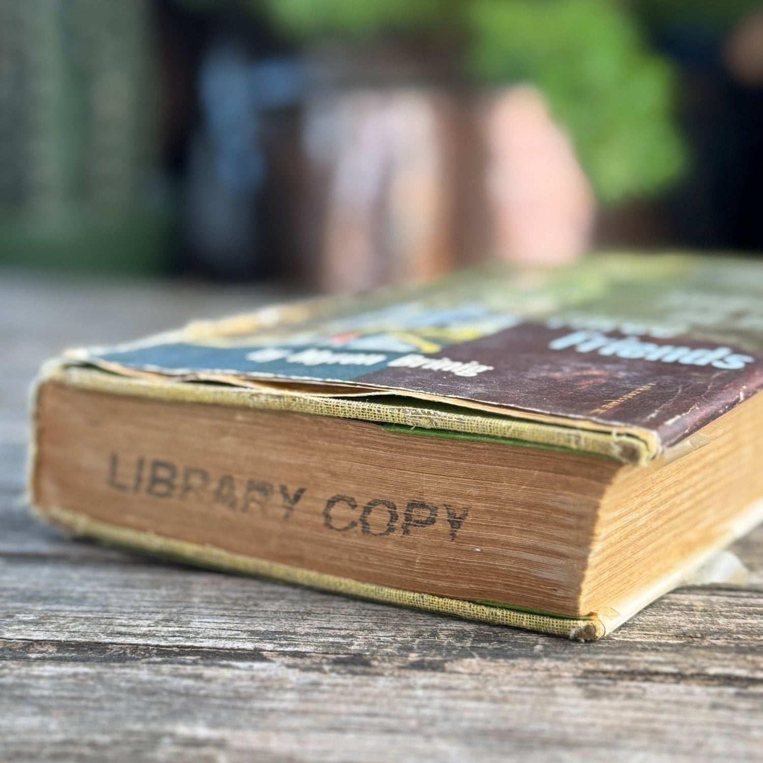 Street of the Three Friends, Myron Brinig, 1953 - Pretty Old Books