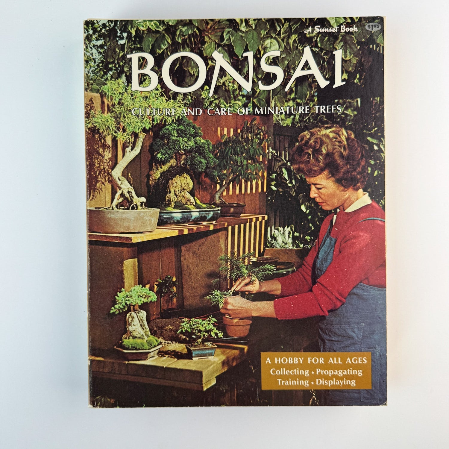 Sunset Magazine Gardening Books, Vintage Paperback Book Bundle - Pretty Old Books