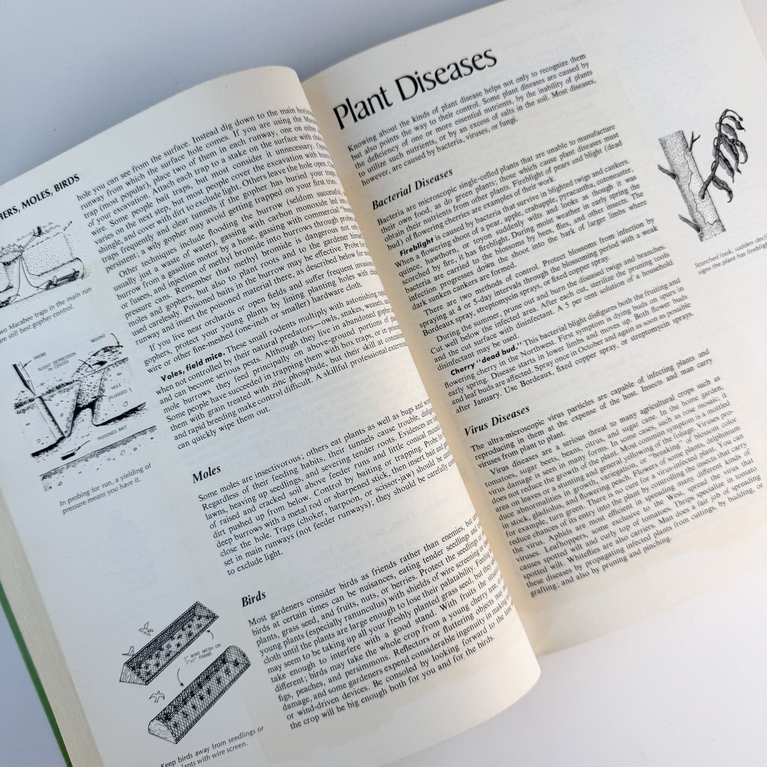 Sunset Western Garden Book, 1973 Hardcover - Pretty Old Books