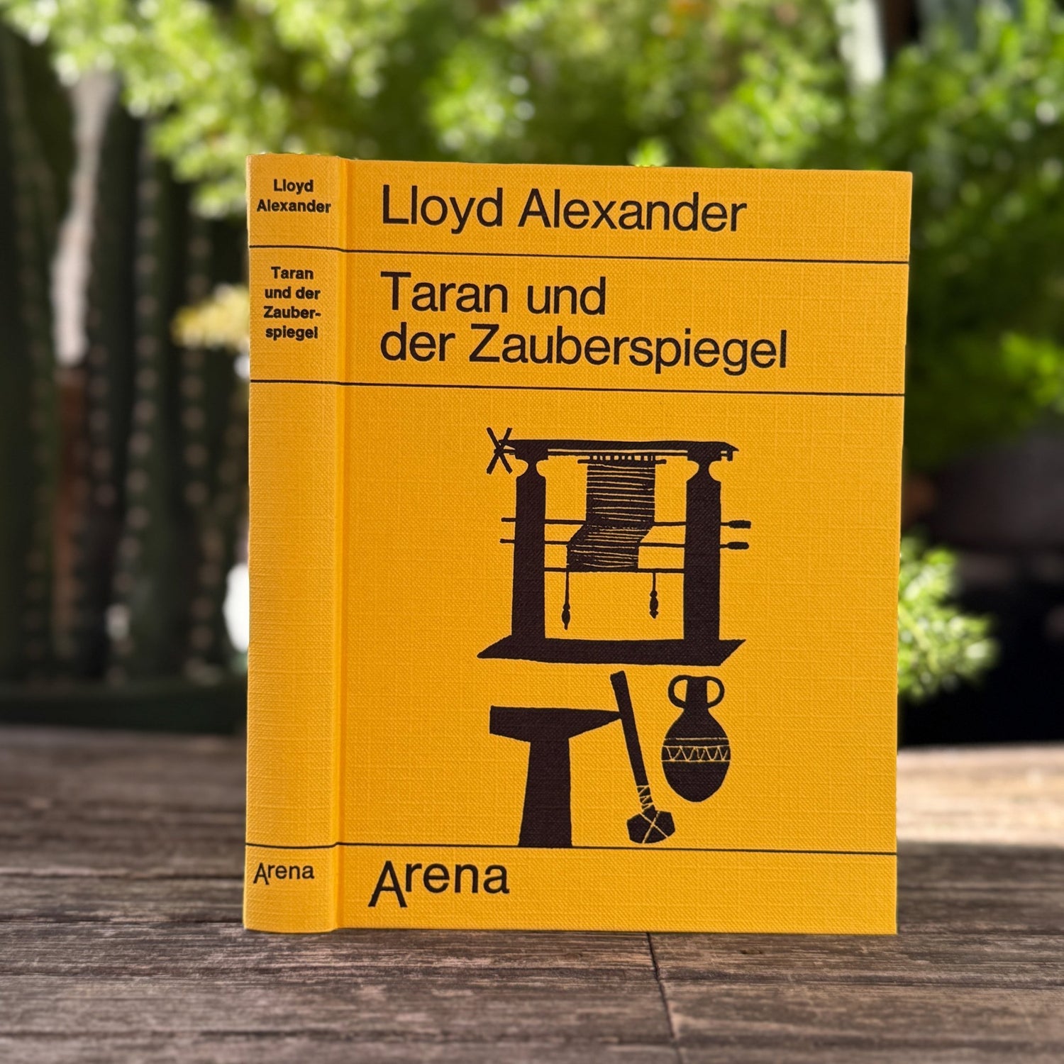 Taran und der Zauberspiegel by Lloyd Alexander (German Edition, 1973) - Pretty Old Books