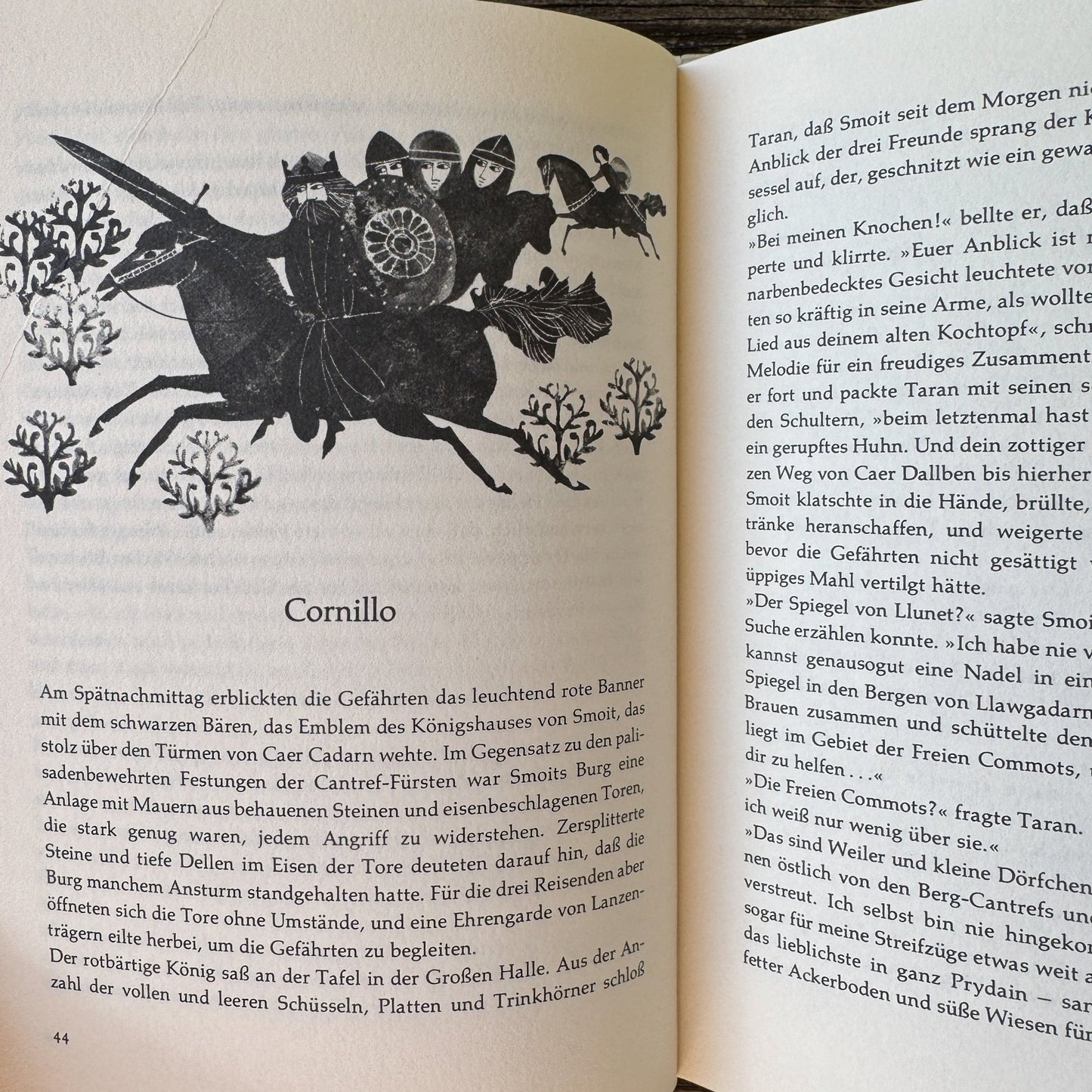 Taran und der Zauberspiegel by Lloyd Alexander (German Edition, 1973) - Pretty Old Books