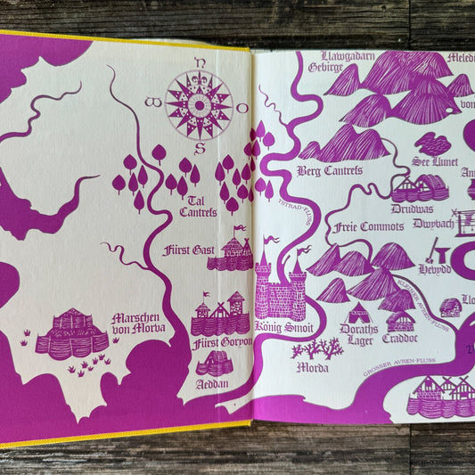 Taran und der Zauberspiegel by Lloyd Alexander (German Edition, 1973) - Pretty Old Books