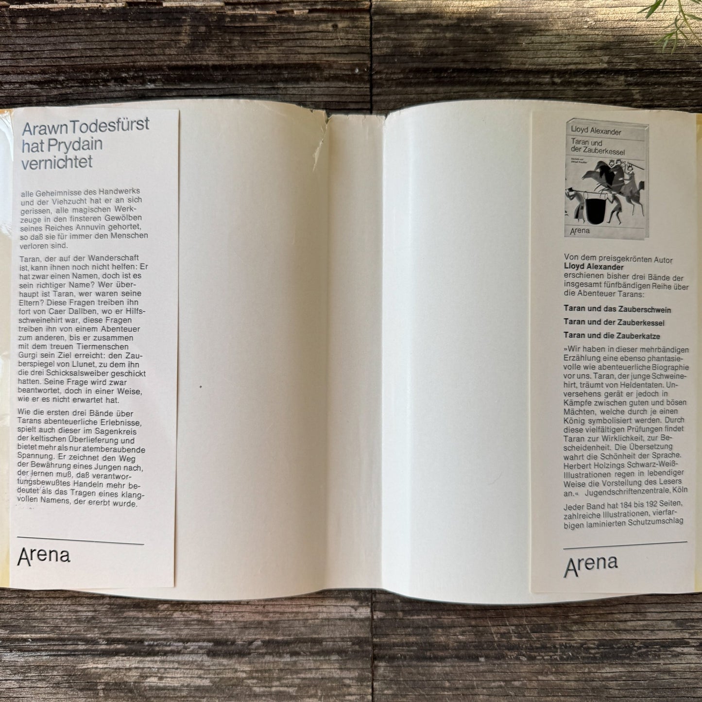 Taran und der Zauberspiegel by Lloyd Alexander (German Edition, 1973) - Pretty Old Books