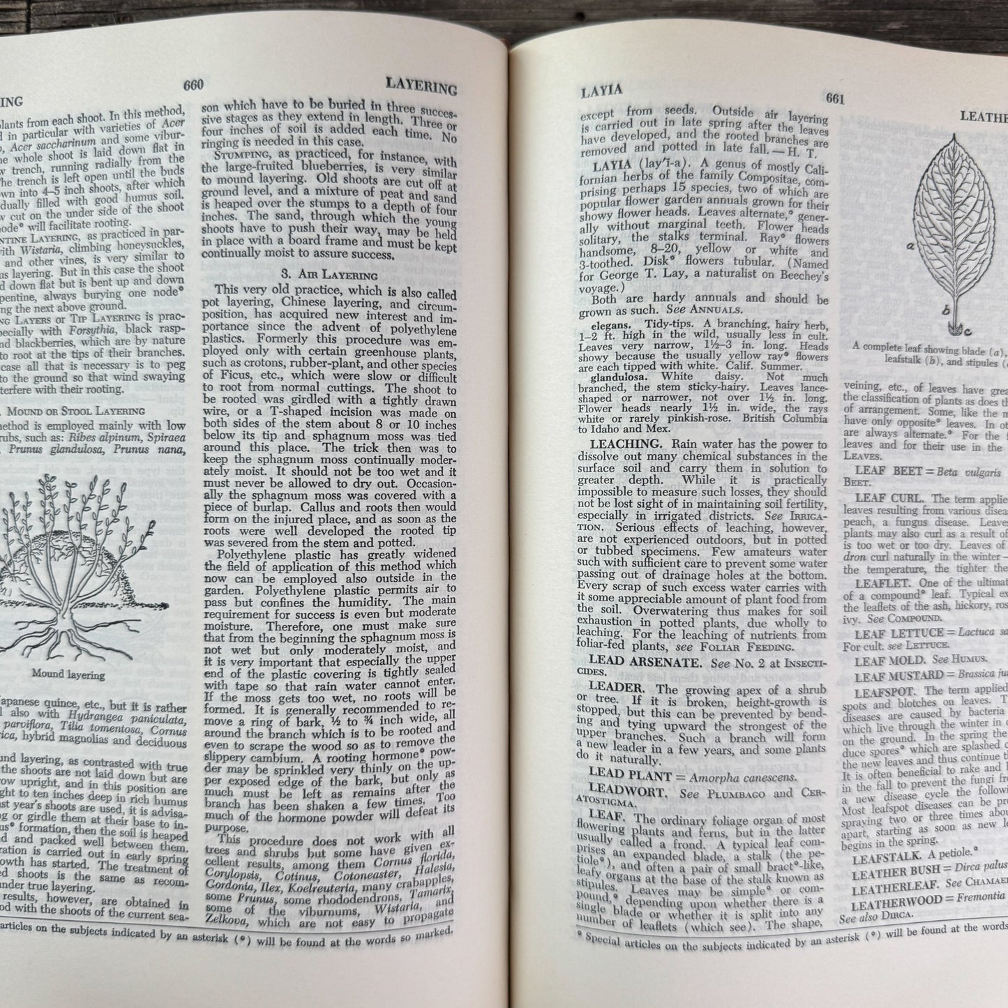 Taylor's Encyclopedia of Gardening (4th Ed.), 1961 - Pretty Old Books