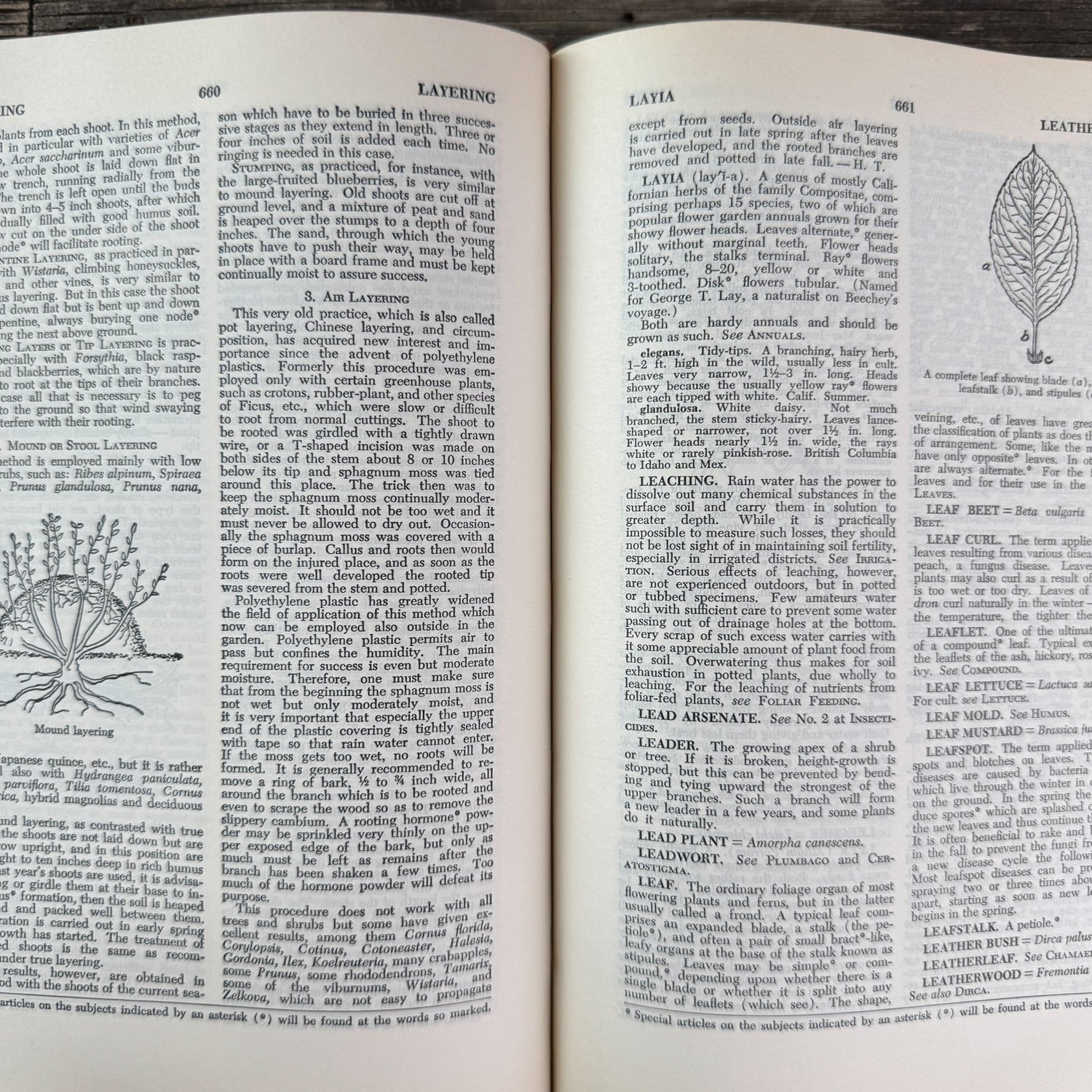 Taylor's Encyclopedia of Gardening (4th Ed.), 1961 - Pretty Old Books
