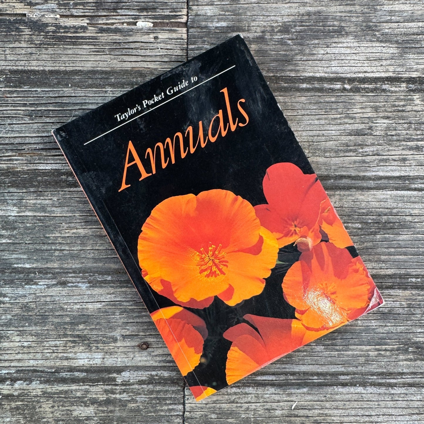 Taylor’s Pocket Guide to Annuals, Ann Riley, 1990 - Pretty Old Books