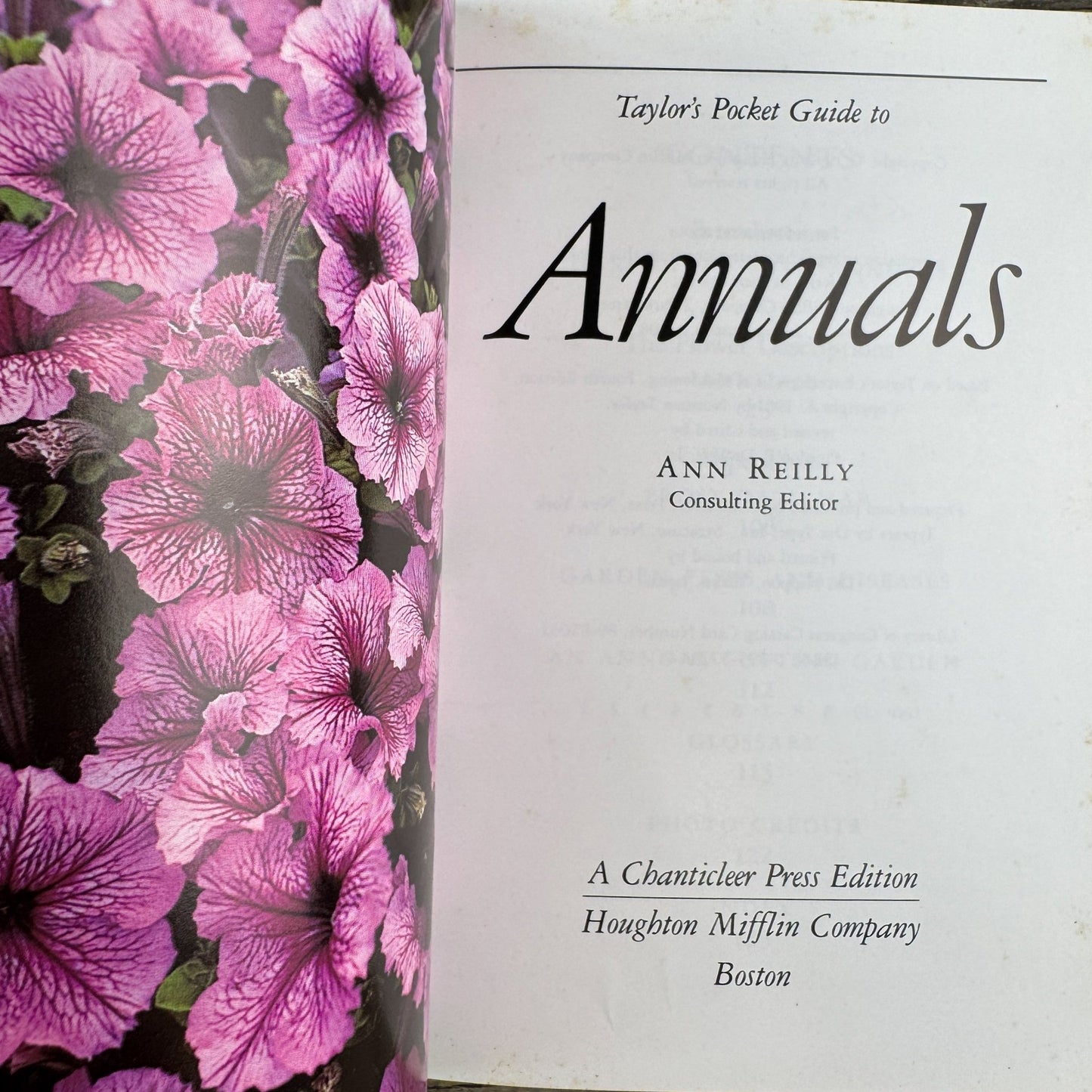 Taylor’s Pocket Guide to Annuals, Ann Riley, 1990 - Pretty Old Books