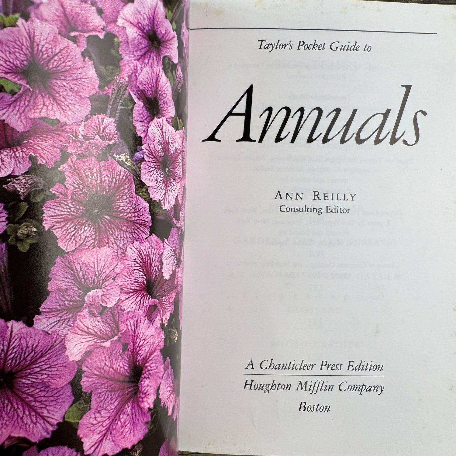 Taylor’s Pocket Guide to Annuals, Ann Riley, 1990 - Pretty Old Books
