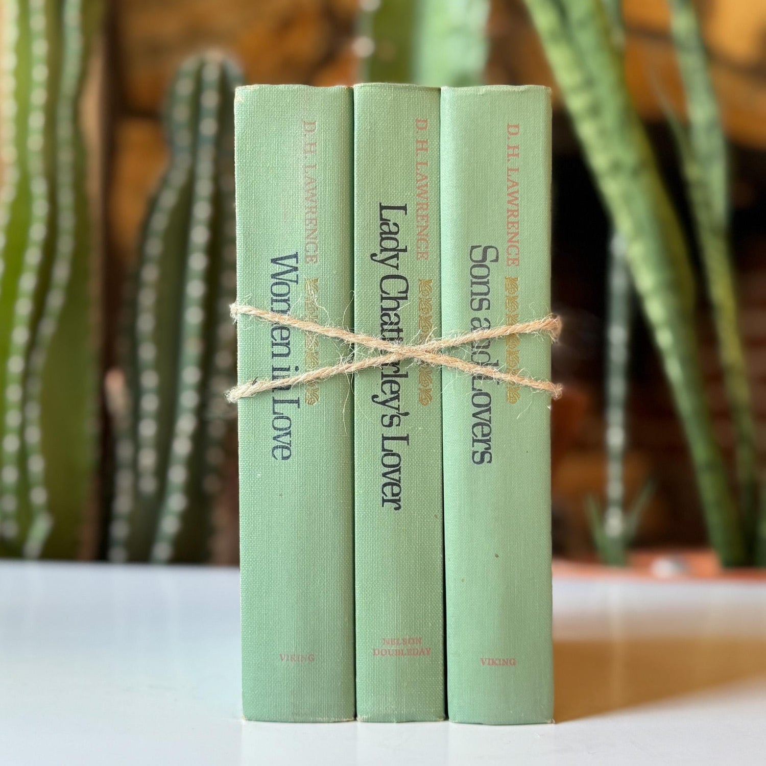 Teal Spring Green Vintage Mid - Century D.H. Lawrence Books for Shelf Styling - Pretty Old Books